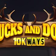 Bucks and Doe 10K Ways